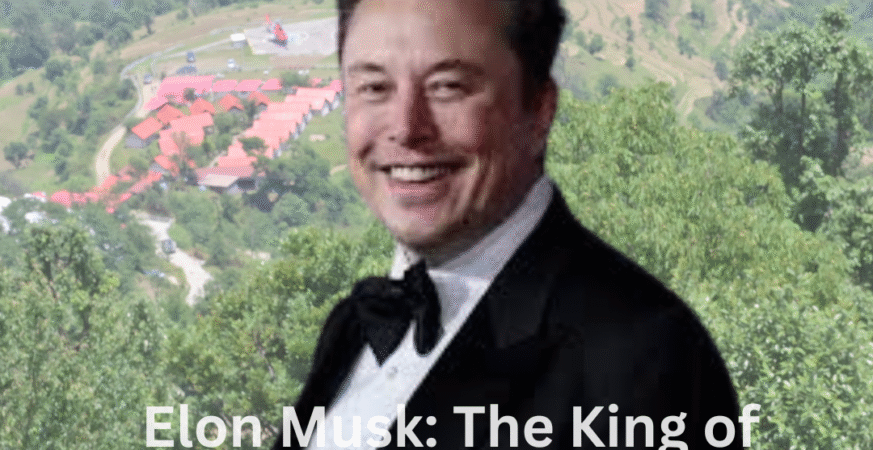 Elon Musk: The King of Sustainable Mobility
