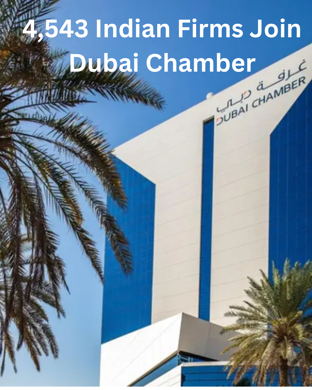 Dubai Strengthens Global Business Ties with Surge in Indian Companies Joining Chamber in Q1 2025