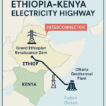 Energy is the ‘number one problem’ for Africa’s economy, says IEA Director