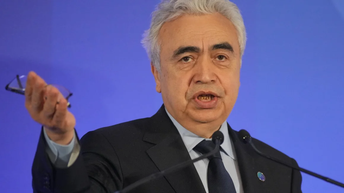 Dr. Fatih Birol, executive director of the International Energy Agency, calls for investment in Africa's energy sources. WPA Pool/Getty Images